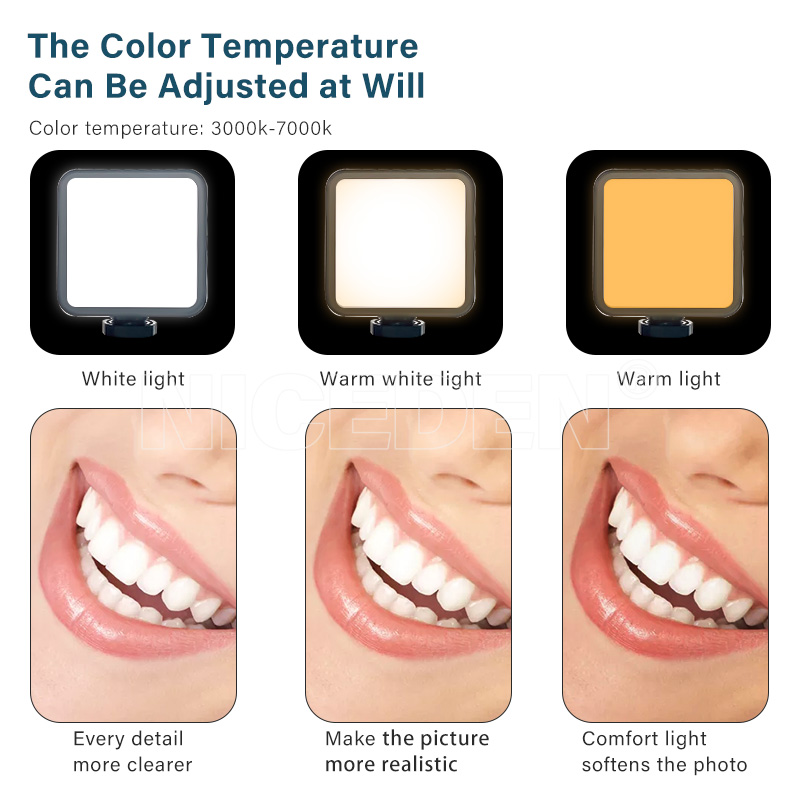 Niceden Dental portable Flash  - Photography Lighting Handheld recension och pris
